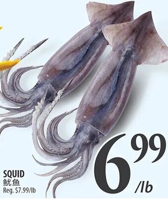Al Premium Food Mart Squid offer