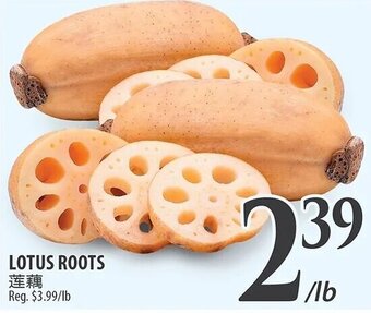 Al Premium Food Mart Lotus roots offer
