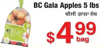 BC Gala Apples 5 lbs
