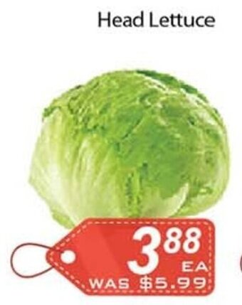 Ample Food Market Head Lettuce offer