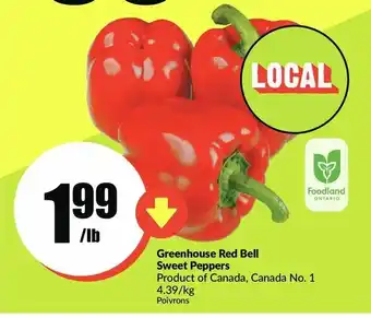 FreshCo Greenhouse Red Bell Sweet Peppers offer
