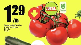 FreshCo Tomatoes On The Vine offer