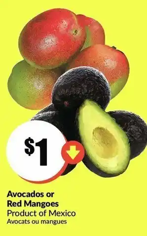 FreshCo Avocados pr Red Mangoes offer