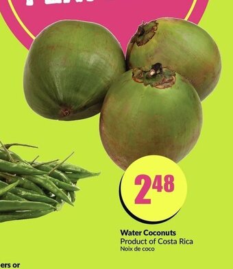 FreshCo Water Coconuts offer