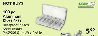 Princess Auto 100 pc aluminum rivet sets offer