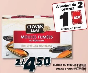 IGA Clover Leaf Smoked Oysters or Mussels 85g offer