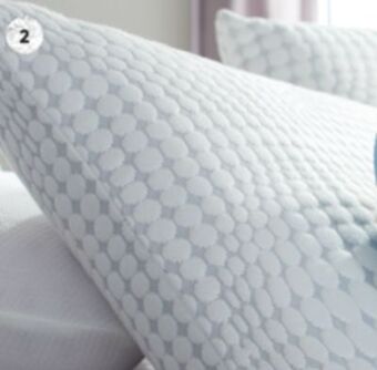 Sleep Country Bio-soy™ pillow offer