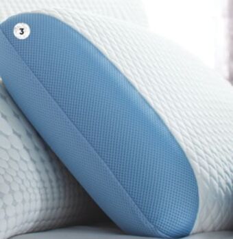 Sleep Country Polar tropic pillow offer