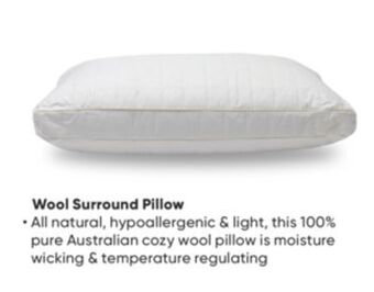 Sleep Country Wool surround pillow offer