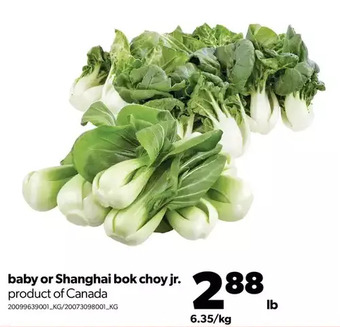 Real Canadian Superstore Baby or shanghai bok choy jr. offer