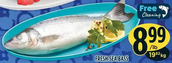 Marché Adonis Fresh sea bass offer