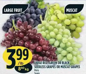 Marché Adonis Large red, green or black seedless grapes or muscat grapes offer