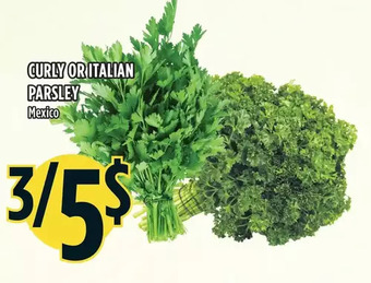 Marché Adonis Curly or italian parsley offer