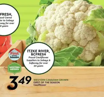First of the season cauliflower