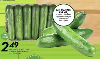 Safeway Mini cucumbers offer