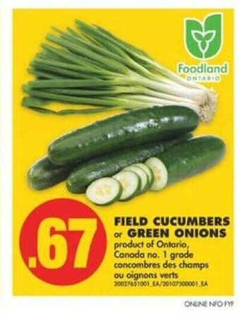 No Frills Field cucumbers or green onions offer