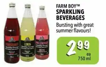 Farm Boy Sparkling beverages offer