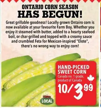Farm Boy Hand-Picked Sweet Corn offer