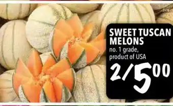 Farm Boy Sweet Tuscan Melons offer