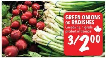 Farm Boy Green Onions offer