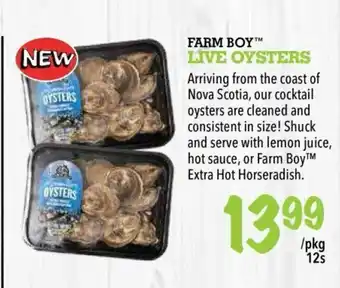 Farm Boy Live Oysters offer