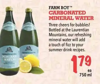 Farm Boy Carbonated Mineral Water offer