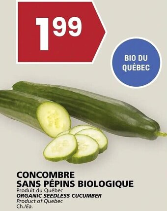 Rachelle-Bery Grocery Organic Seedless Cucumber offer
