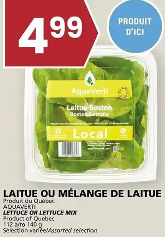 Rachelle-Bery Grocery Aquaverti Lettuce or Lettuce Mix 140g offer