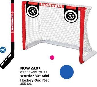Toys R us Warrior 30" mini hockey goal set offer