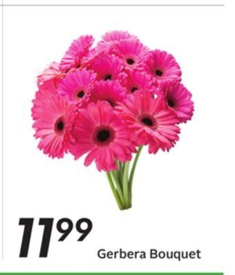 Sobeys Gerbera bouquet offer