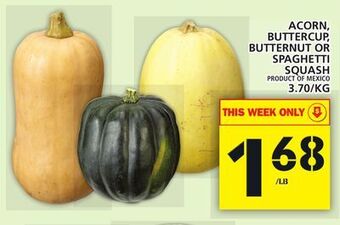 Food Basics Acorn, buttercup, butternut or spaghetti squash offer