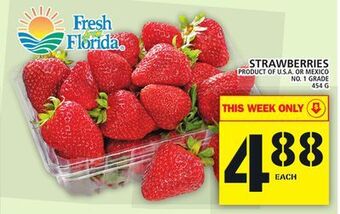 Food Basics Strawberries offer