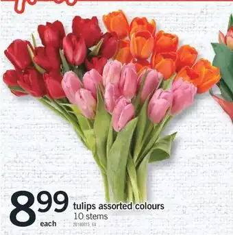 Fortinos Tulips assorted colours, 10 stems offer
