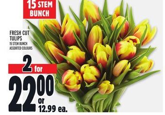 Metro Fresh cut tulips offer