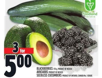 Metro Blackberries offer