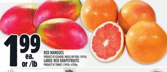 Metro Red mangoes offer