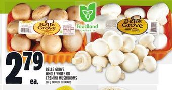 Metro Belle grove whole white or cremini mushrooms offer
