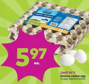 Giant Tiger Burnbrae medium eggs offer