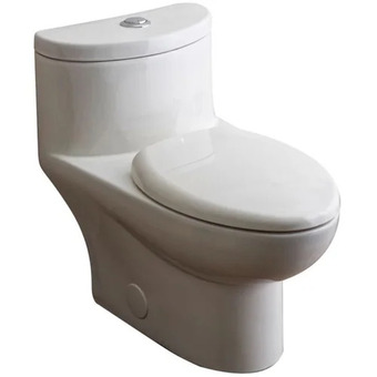 Home Depot American standard tofino dual-flush 1-piece elongated toilet offer