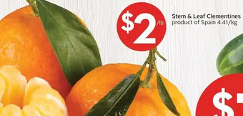Foodland Stem & leaf clementines offer