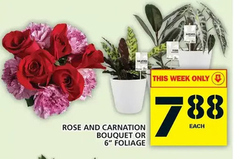 Food Basics Rose and carnation bouquet or 6" foliage offer