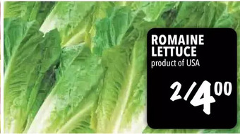 Farm Boy Romaine lettuce offer