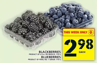 Food Basics Blackberries | blueberries offer