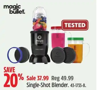 Canadian Tire Magic bullet single-shot blender offer