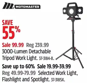 Canadian Tire Motomaster 3000-lumen detachable tripod work light | work light, flashlight and spotlight offer