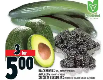 Metro Blackberries | avocados | seedless cucumbers offer