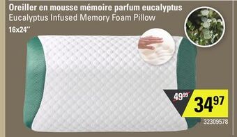 Sushi Shop Eucalyptus infused memory foam pillow offer