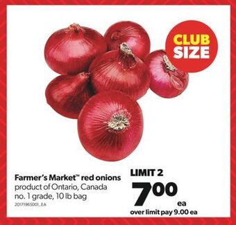 Real Canadian Superstore Farmer's market™ red onions, 10 lb bag offer