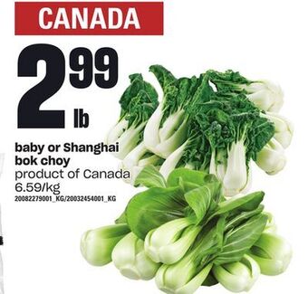 Loblaws Baby or shanghai bok choy offer