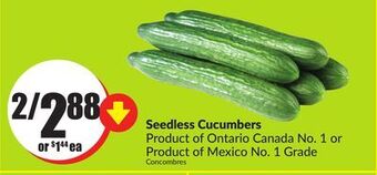 FreshCo Seedless cucumbers product of ontario canada no 1 or product of mexico no 1 grade offer